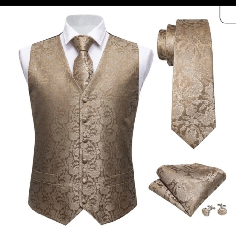 Barry. Wang Classic Men's Ties Formal Business Wedding  Necktie Set